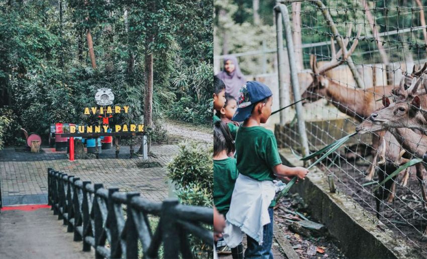 2. Aviary & Bunny Park, National Botanical Garden Shah Alam