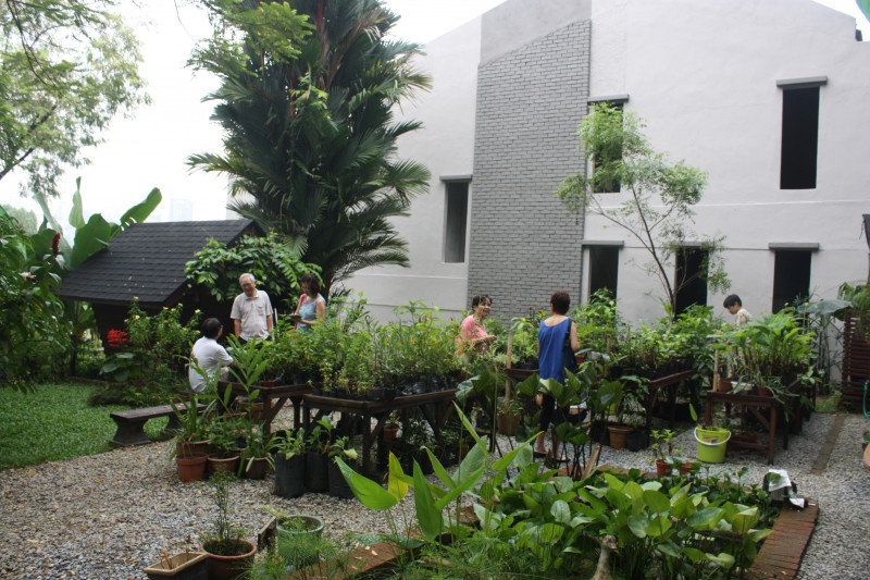 02_The_communal_garden