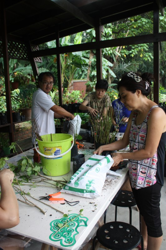 05_Volunteers_propagating