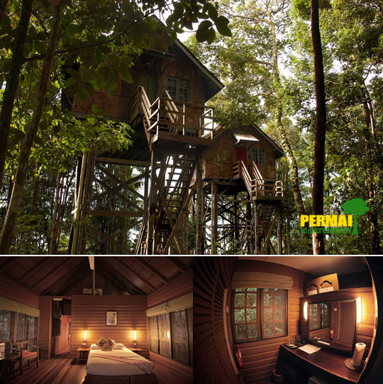 treehouse_cabin