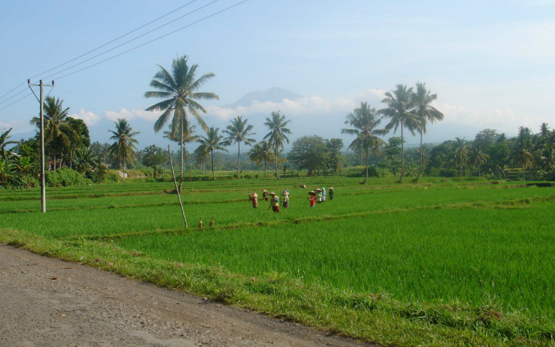 05_Lombok_Indonesia_03