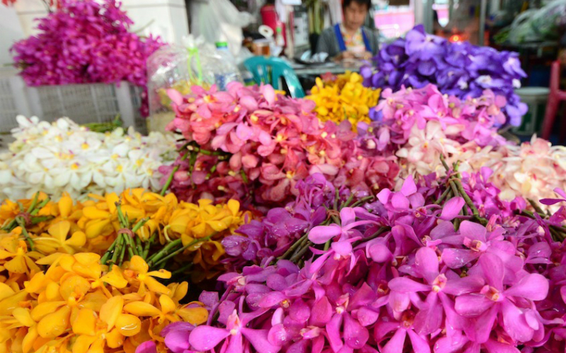 Bangkok-Flower-Market-6