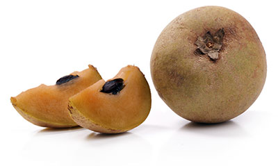 sapodilla