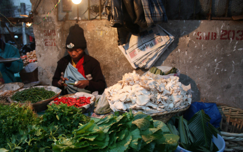 Browsing_through_market_stalls_is_one_of_the_best_ways_to_understand_the_locals_and_their_lifestyles