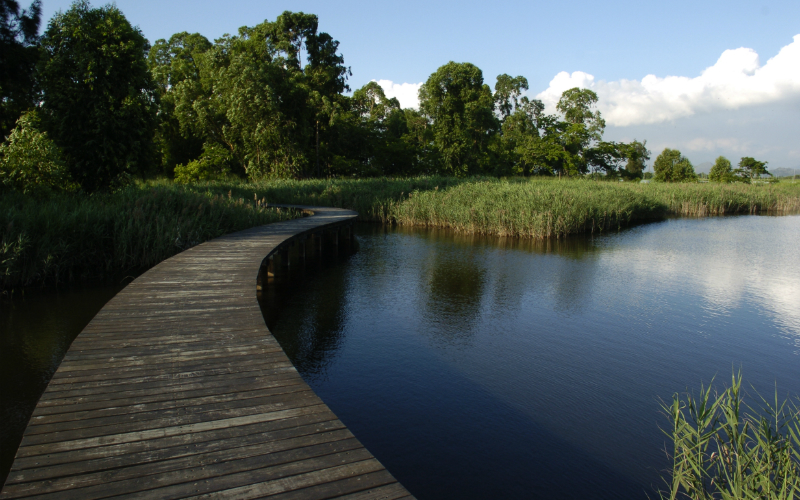 Hong Kong Wetland Park