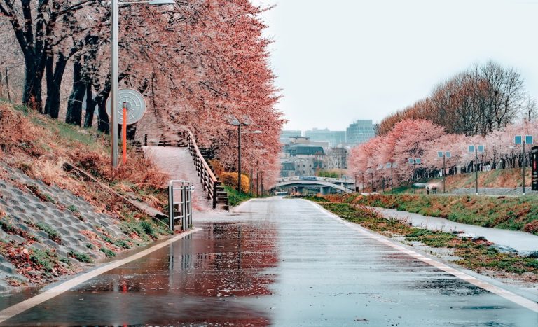 10 Tips For Women Travelling To Seoul, South Korea