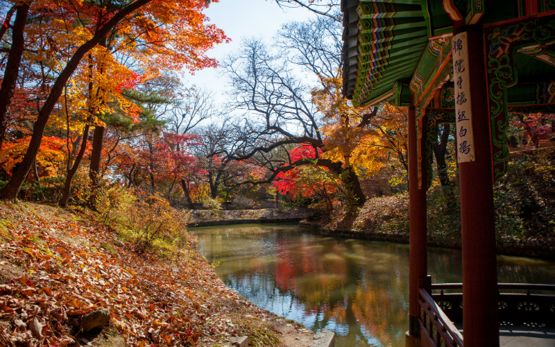 11_ChangdeokgungPalace