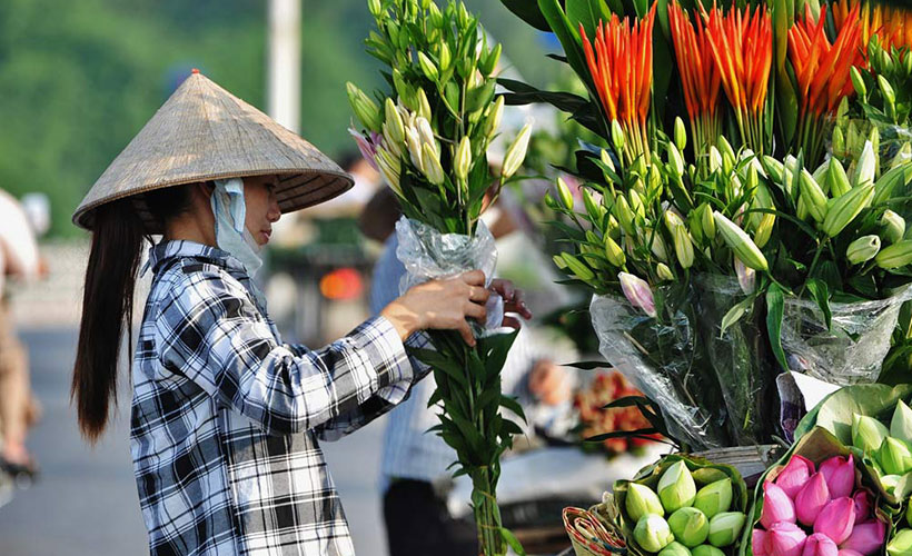 hanoi-flower.market