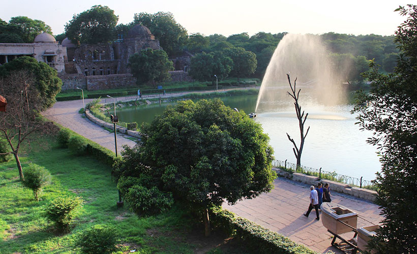 Deer-Park-evening-walks