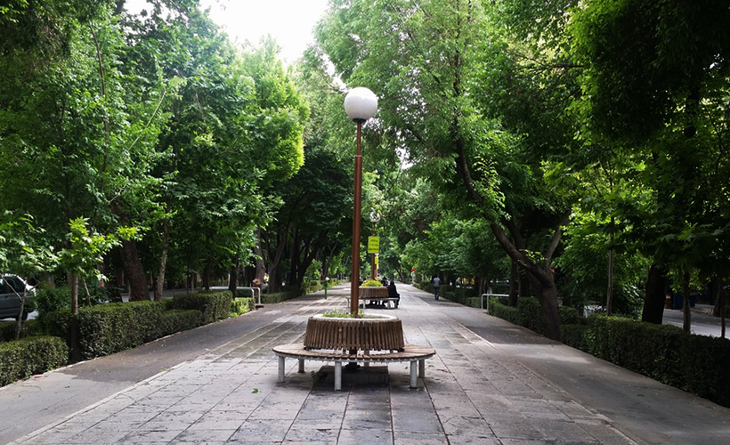 iran_boulevards_maple_trees_esfahan-image_by_kathleen_poon