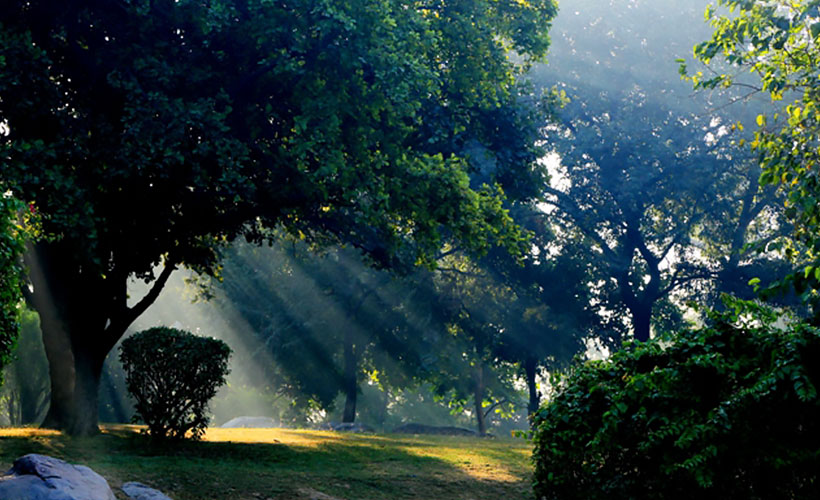 nehru-park_cascading-rays-02