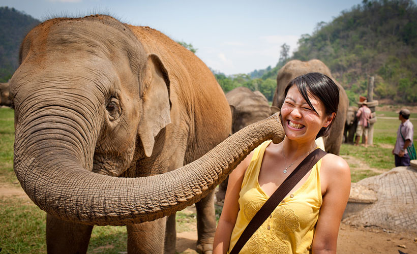 The Elephant Nature Park in Chiang Mai, Thailand. (Photo Credit: Flickr / Beyond Neon)