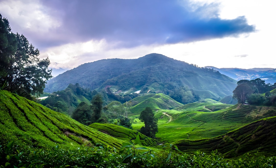 trip ke cameron highland balik hari