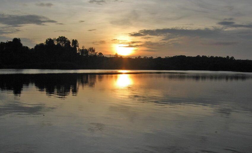 Golden sunset over the quiet, forested wetland waterways of Tasek Bera in Pahang, Malaysia.