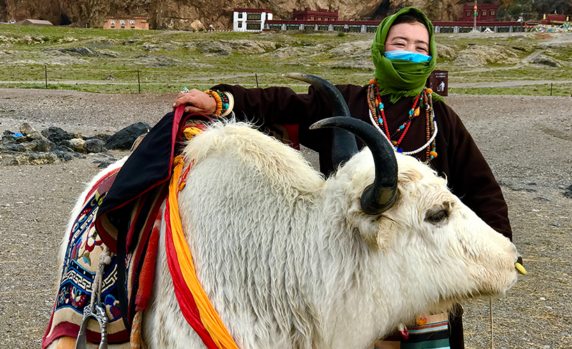 A nomad and her yak. (Photo Credit: Lynette Yee)