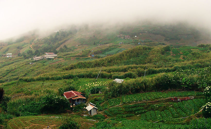 Trip to kundasang