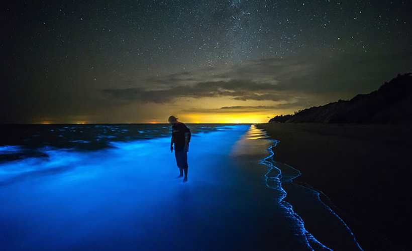 15 Brilliant Bioluminescent Beaches And Bays Worldwide