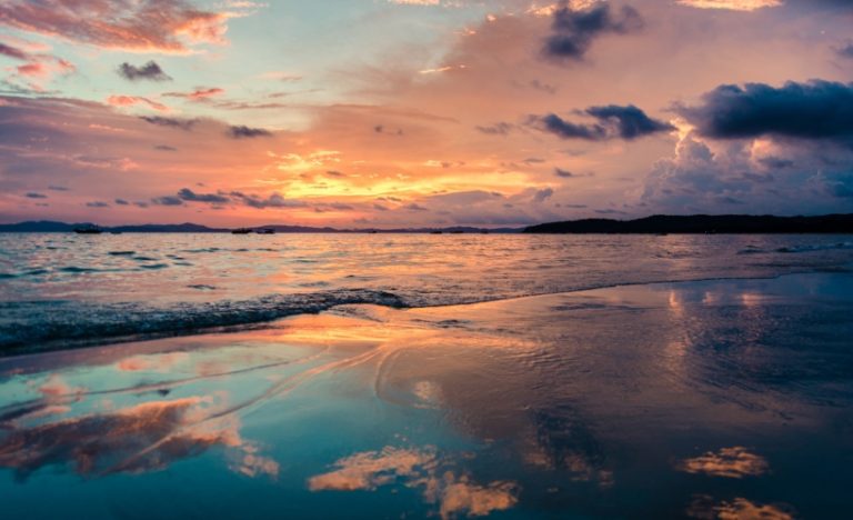 8 Bioluminescent Bays And Beaches That’ll Leave You Spellbound