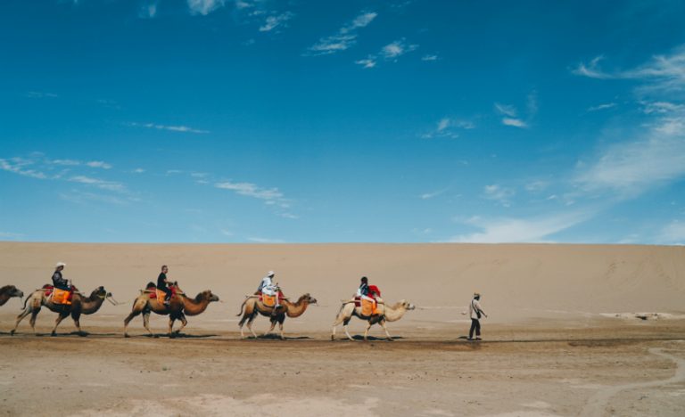 6 Awesome Activities For Solo Travellers In Pushkar, Rajasthan