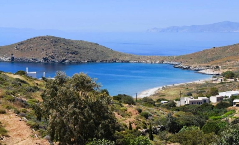 Dream Job Alert: Get Paid To Play With Cats On A Greek Island