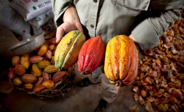 The Chocolate Makers In Vietnam
