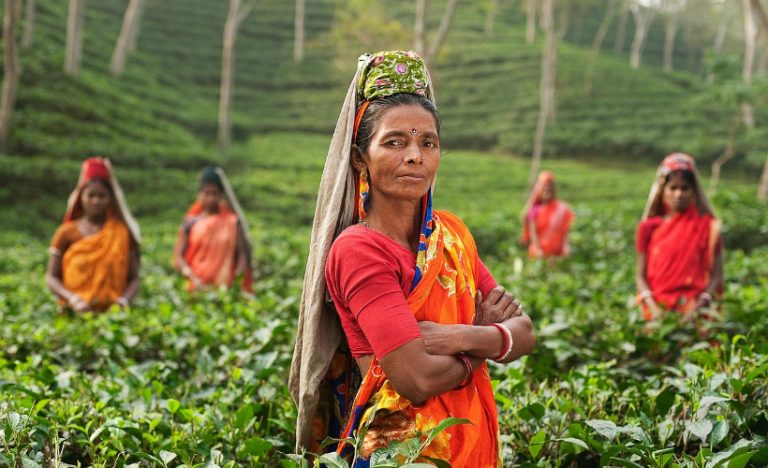 Asia For Beginners: A Guide For Your First Trip