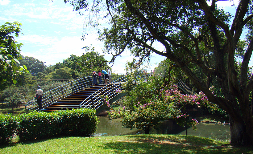 Greengo Dictionary 🦜 on X: Brazilian Parkour from Taubaté   / X