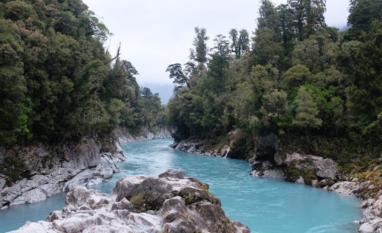 Tranz Alpine And The Coastal Pacific: Riding Through New Zealand’s South Island