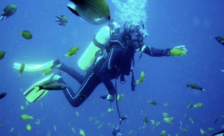 The Complete Guide To The Best Dive Sites In Bali, Indonesia