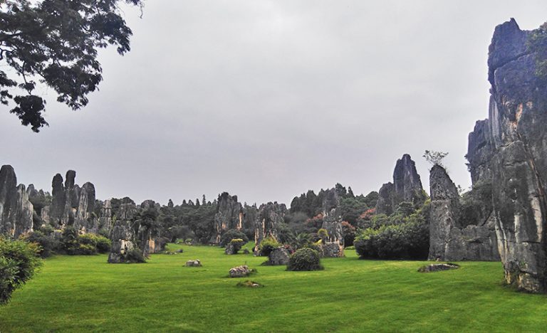 Is The Stone Forest In Yunnan, China Worth Visiting?