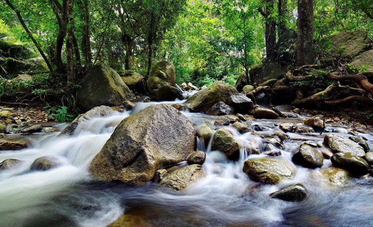 Chase These 8 Stunning Waterfalls In Malaysia