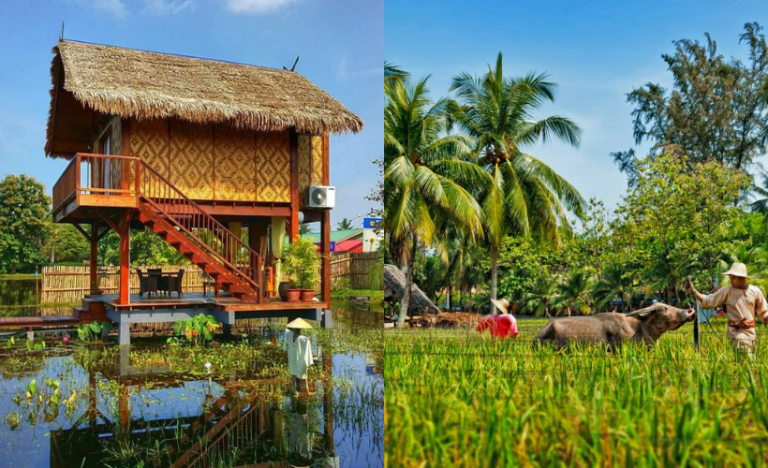 8 Quaint Kampung Stays You Have To Check Out