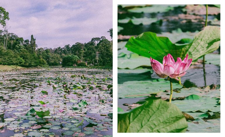 5 Of The Best Agro Tourism Destinations In Selangor