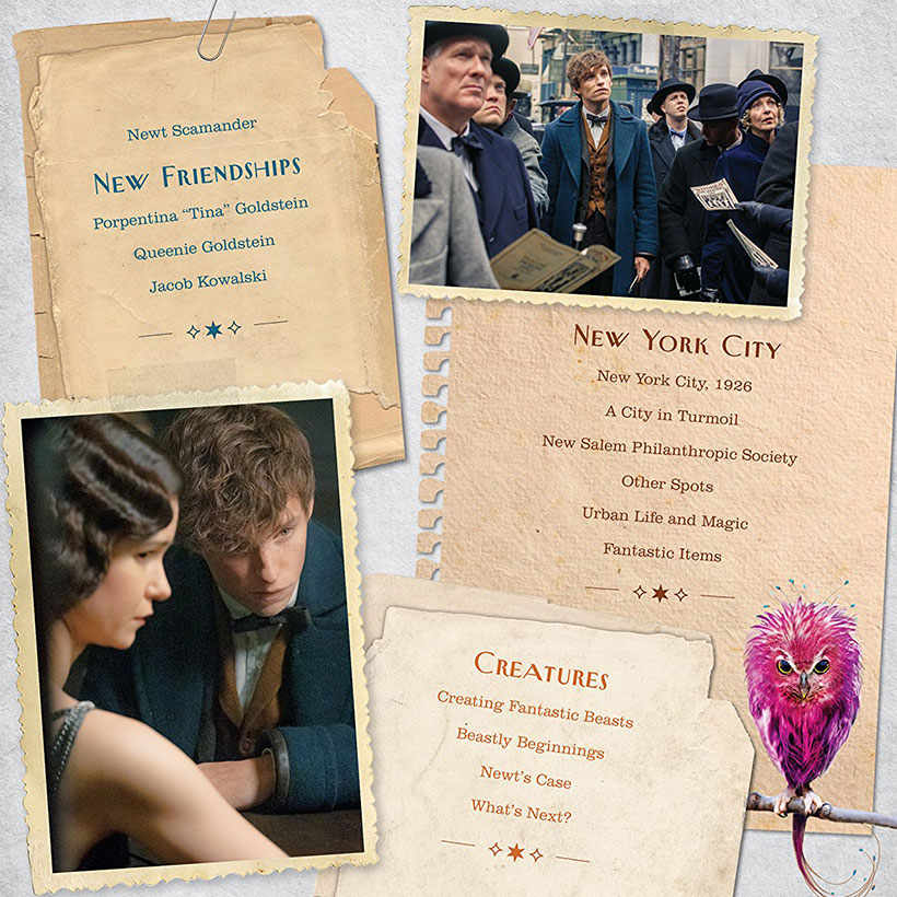 newt scamander a movie scrapbook