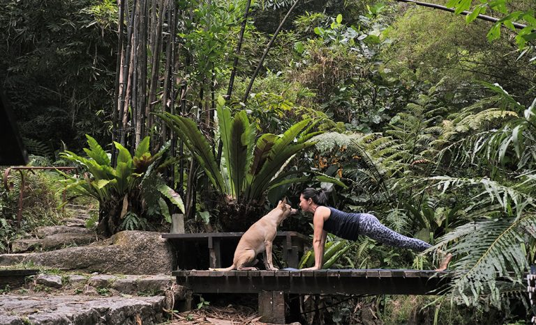 Tropical Spice Garden Rallies Help From M’sians To Save The Gardens