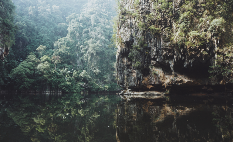 Malaysia Focusing Ecotourism Upgrading, At Risk Of Thousands Of Tree Species Extinction