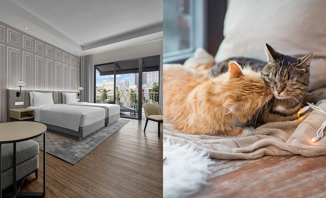9 Pet-Friendly Hotels In Malaysia