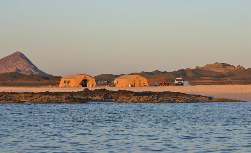 Fieldwork camp site, Masirah Island, Oman
