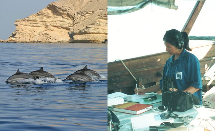Left: Spinner dolphins, Muscat, Oman. Right: Recording Arabian Sea humpback whale song, SY Sanjeeda 2004, Oman.