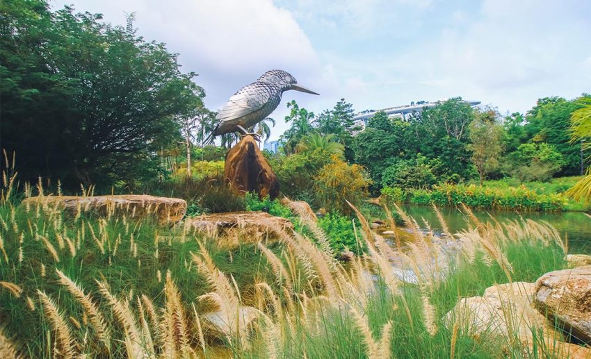 Nature lovers, come be delighted at Singapore’s bird-watching paradise, Kingfisher Wetlands at Gardens By The Bay