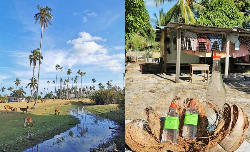 Left: Pulau Sibu kampung landscape. Right: Virgin coconut oil, Pulau Sibu, Johor.