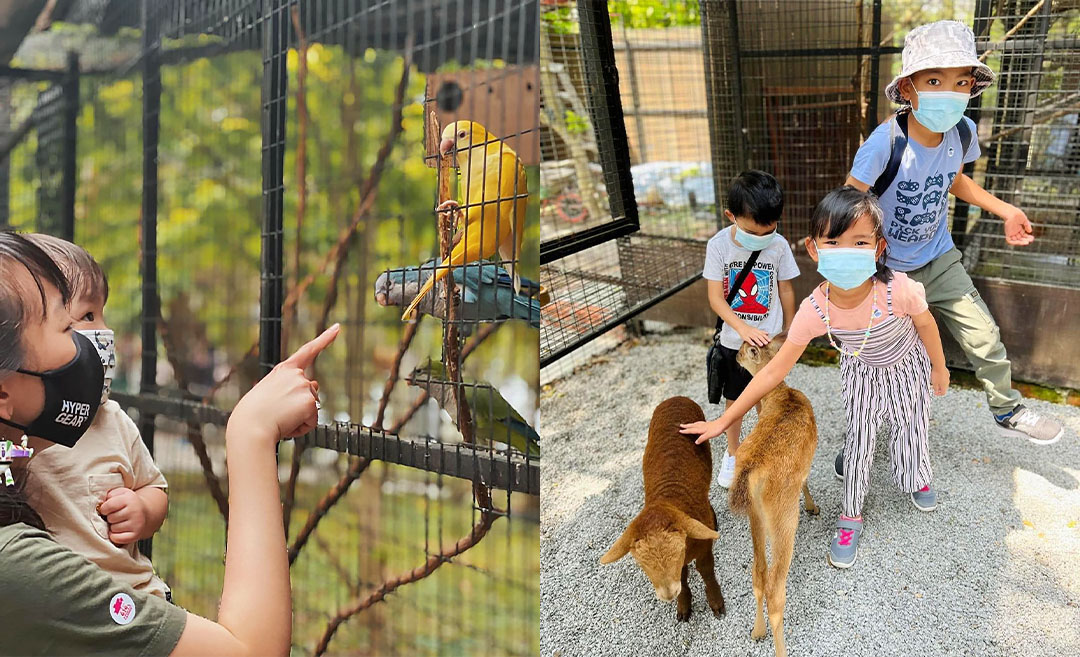 Enjoy A Furry Good Time At G2G Animal Garden In Serdang