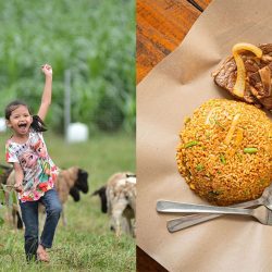 This Restaurant In Serdang Lets You Dine With Cute Sheep, Good Food, & Scenic Views