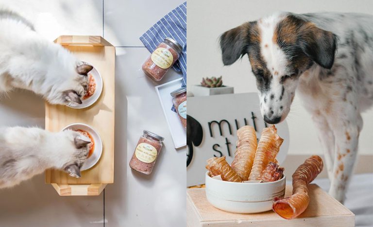 8 Malaysian Homemade Pet Food & Treat Stores For Your Fur-babies