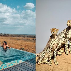 African Adventure: 5 Must-Visit Safari Getaways