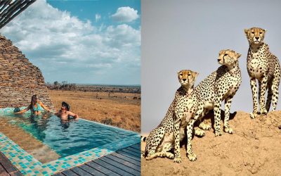 African Adventure: 5 Must-Visit Safari Getaways