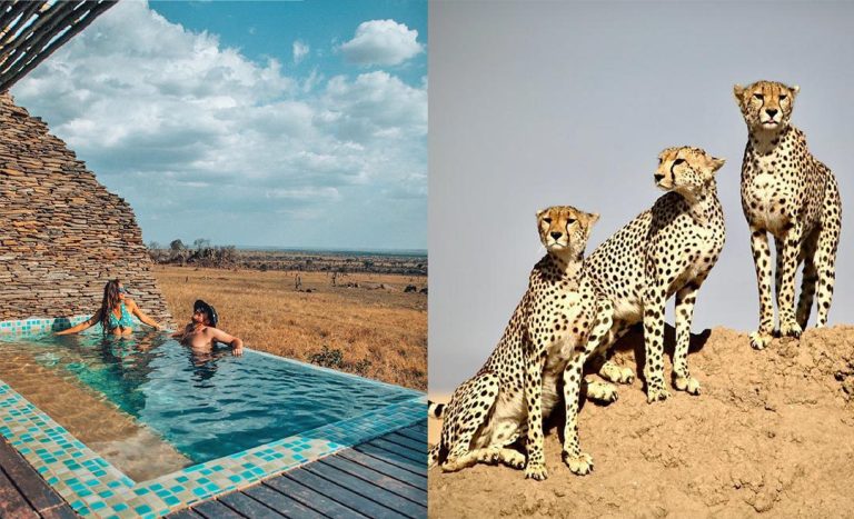 African Adventure: 5 Must-Visit Safari Getaways