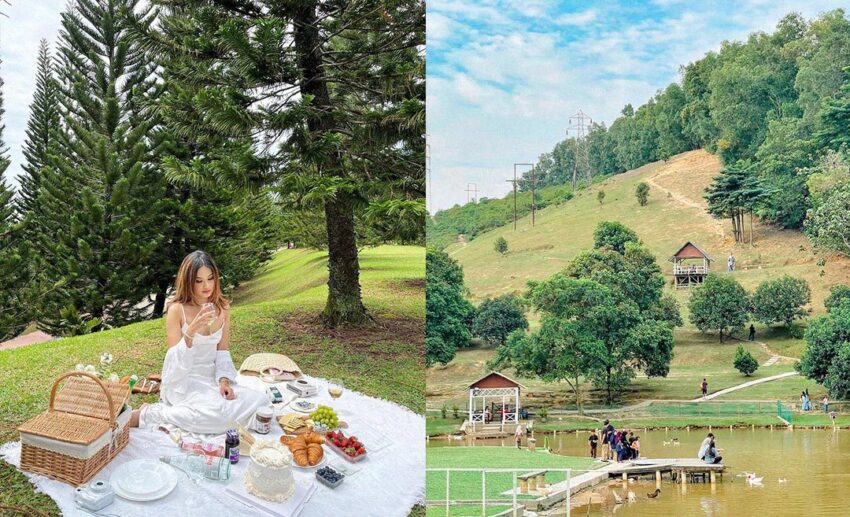 6 Amazing Picnic & Outdoor Food Destinations Under 1 Hour From KL