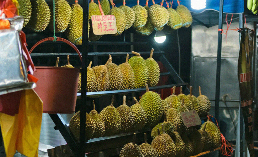 Durian seasons in Malaysia