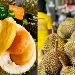 Durian 101: Your Ultimate Guide To Popular Varieties, Best Time To Eat, & Where To Buy Them
